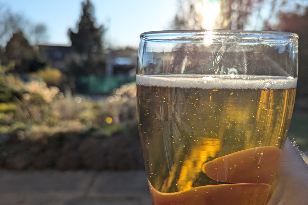 Ein mit Bier gefülltes Glas mit Abendsonne im Hintergrund